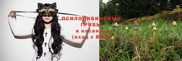 стаф Баксан