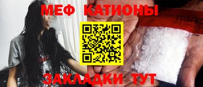 шишки Дубна