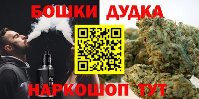 шишки Дубна