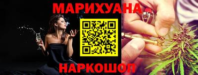 шишки Дубна