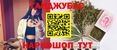 шишки Дубна
