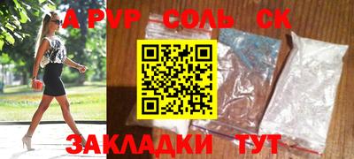шишки Дубна