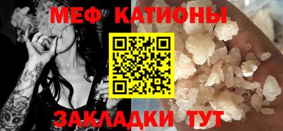 шишки Дубна