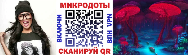 Галлюциногенные грибы Magic Shrooms цены Кировск