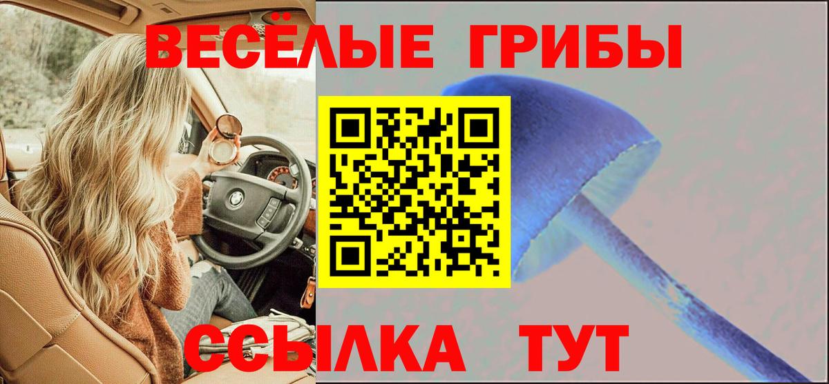 Псилоцибиновые грибы ЛСД Кировск
