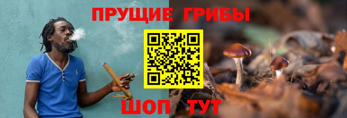Галлюциногенные грибы мухоморы  Вход с VPN  Кировск  Псилоцибиновые грибы Cubensis 