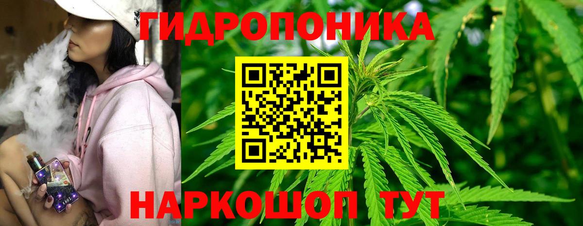 Шишки марихуана MAZAR  Вход с VPN  Канабис THC 21%  Шишки марихуана MAZAR  Кировск 